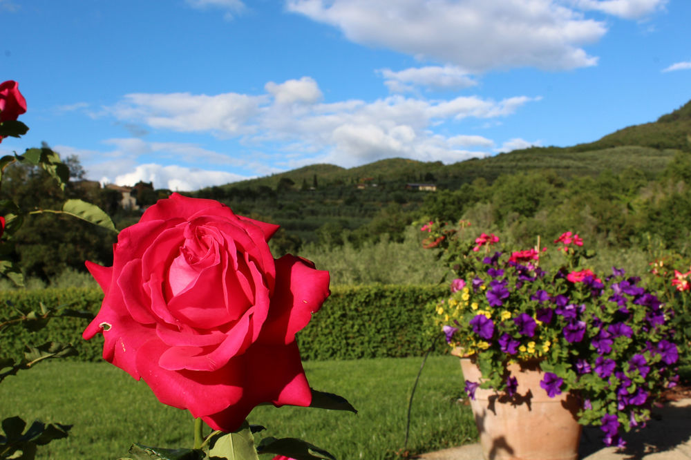 Bed and Breakfast Casa Portagioia Castiglion Fiorentino Zewnętrze zdjęcie